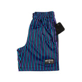 Pins Mesh Shorts in Blue